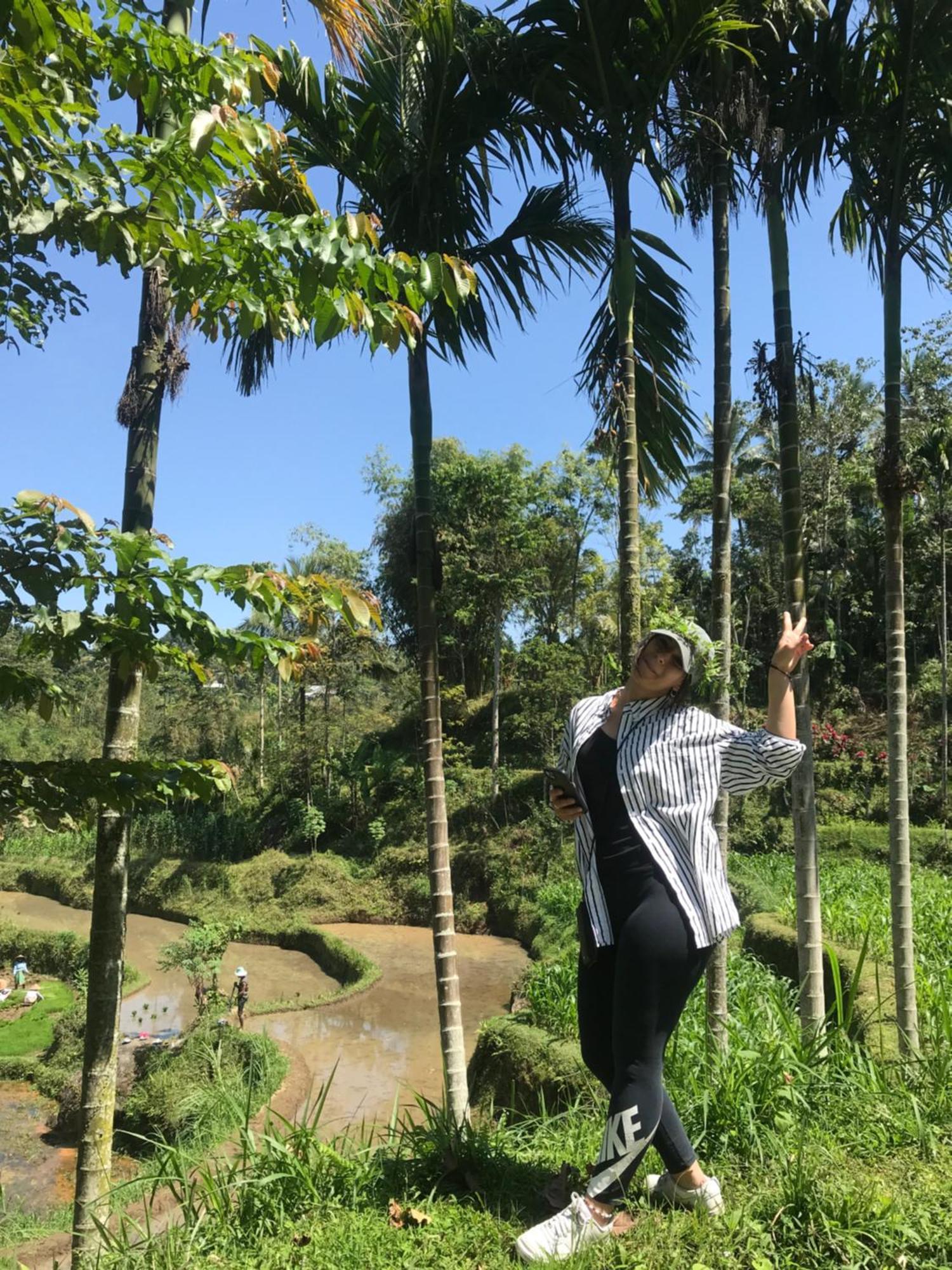 Vanilla Garden Tetebatu Luaran gambar