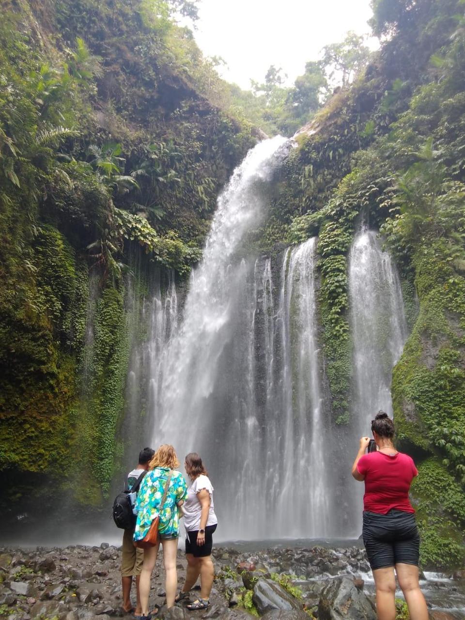 Vanilla Garden Tetebatu Luaran gambar
