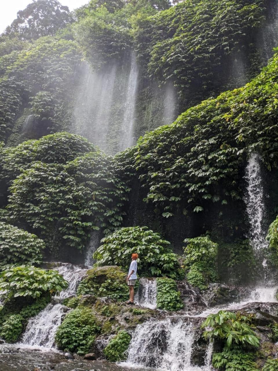 Vanilla Garden Tetebatu Luaran gambar
