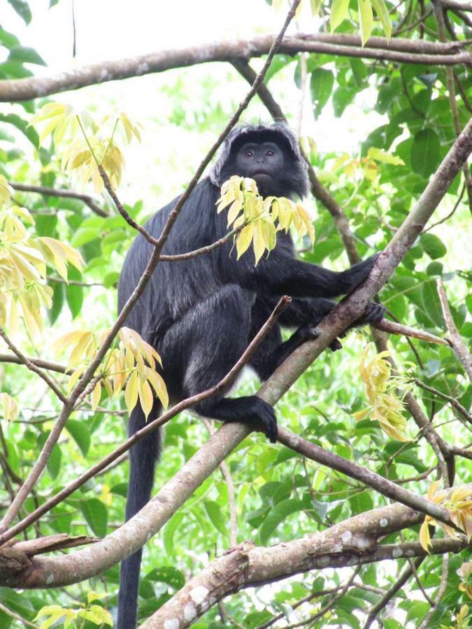 Vanilla Garden Tetebatu Luaran gambar